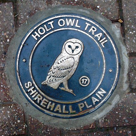 Holt Owl Trail